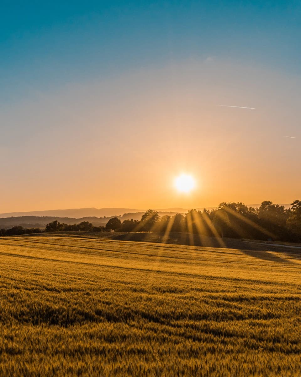 Representative photograph of open farmland at golden hour.