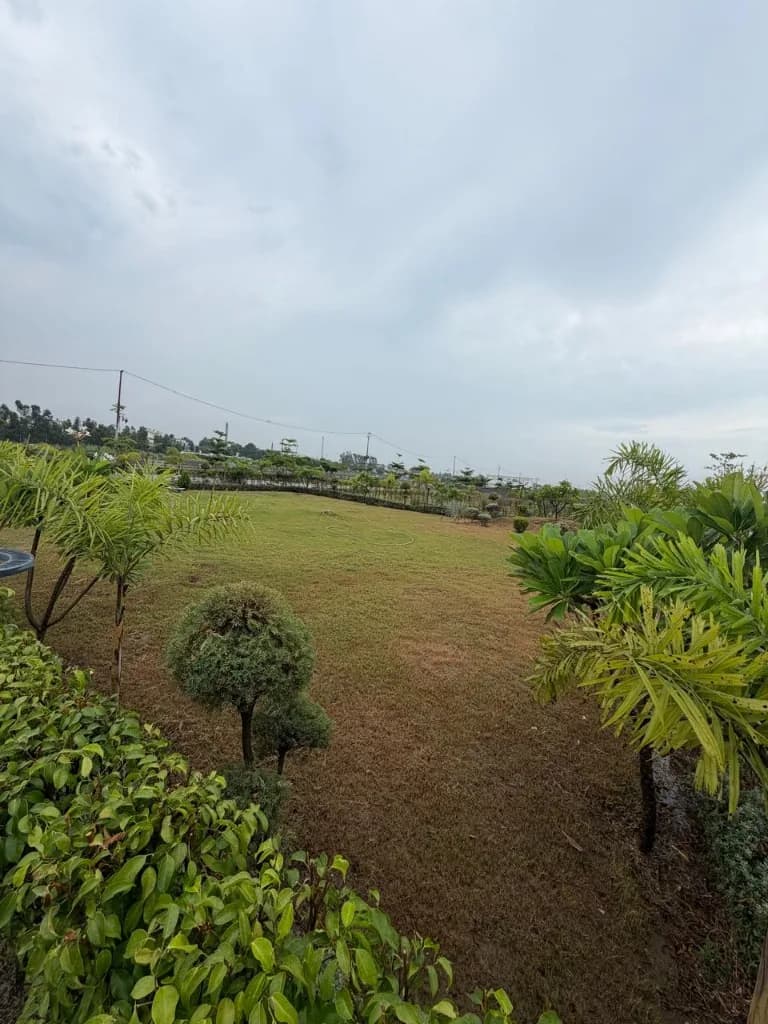 Palm City Haridwar — landscaped lawn and planted garden area within the township