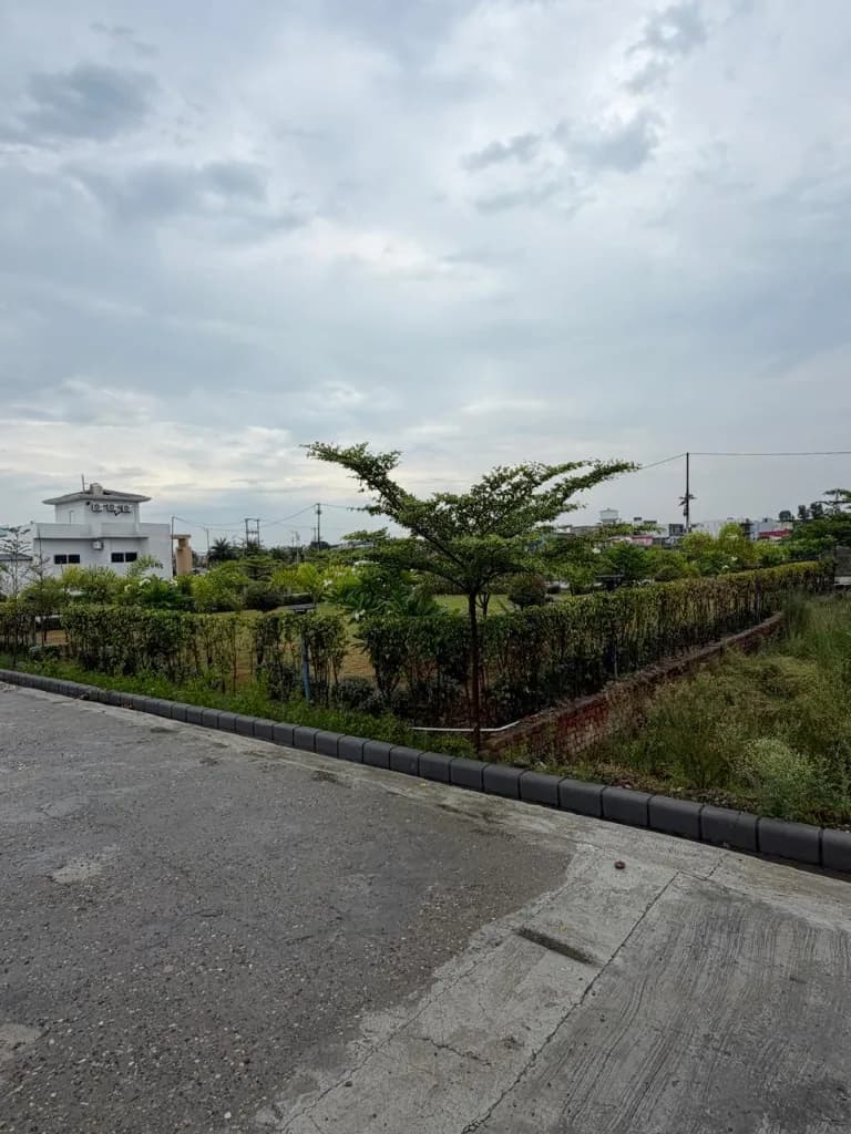 Palm City Haridwar — hedge-lined plots along the internal road