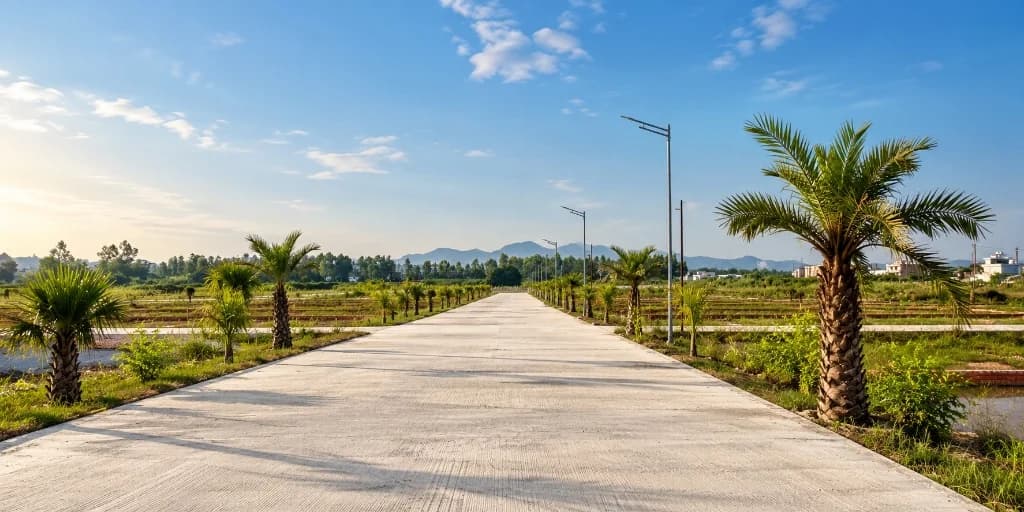 Palm Street Phase 02 — palm-tree lined internal road through the plotted development, with hills on the horizon