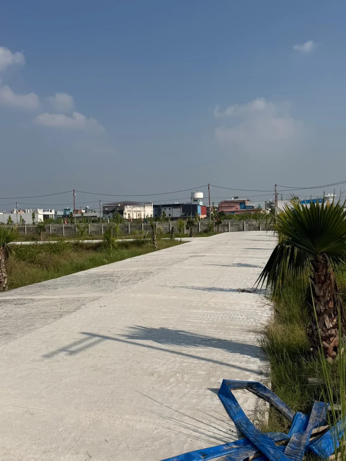 Palm Street Phase 02 — young palm trees planted along the internal road verge, with marked plot parcels