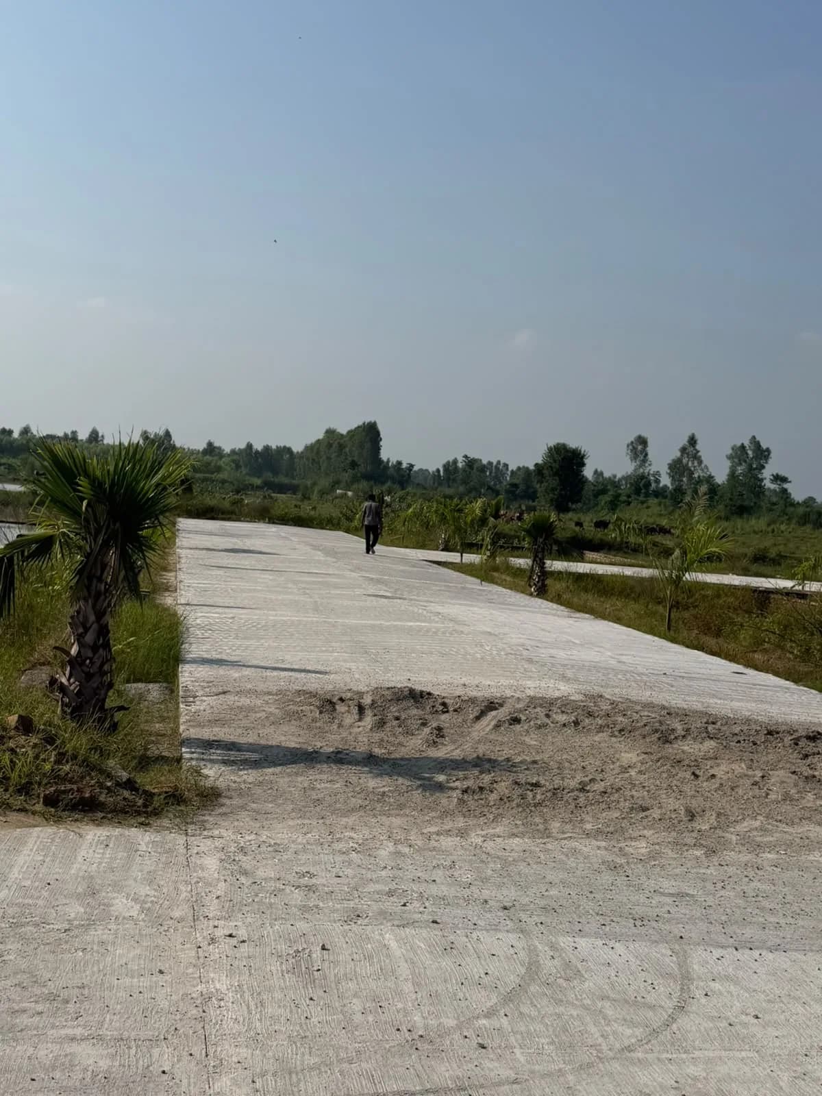 Palm Street Phase 02 — internal road and plot parcels within the development