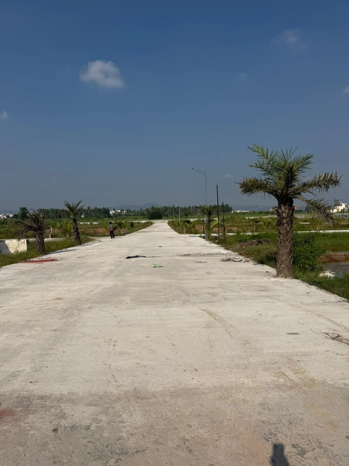 Palm Street Phase 02 — open plot parcels and internal road with surrounding greenery